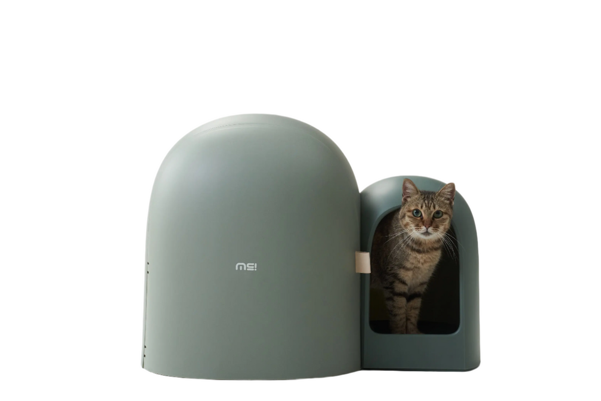 Design Kattenbak met schepje - Lek en geurvrij - Groen - SpirePets