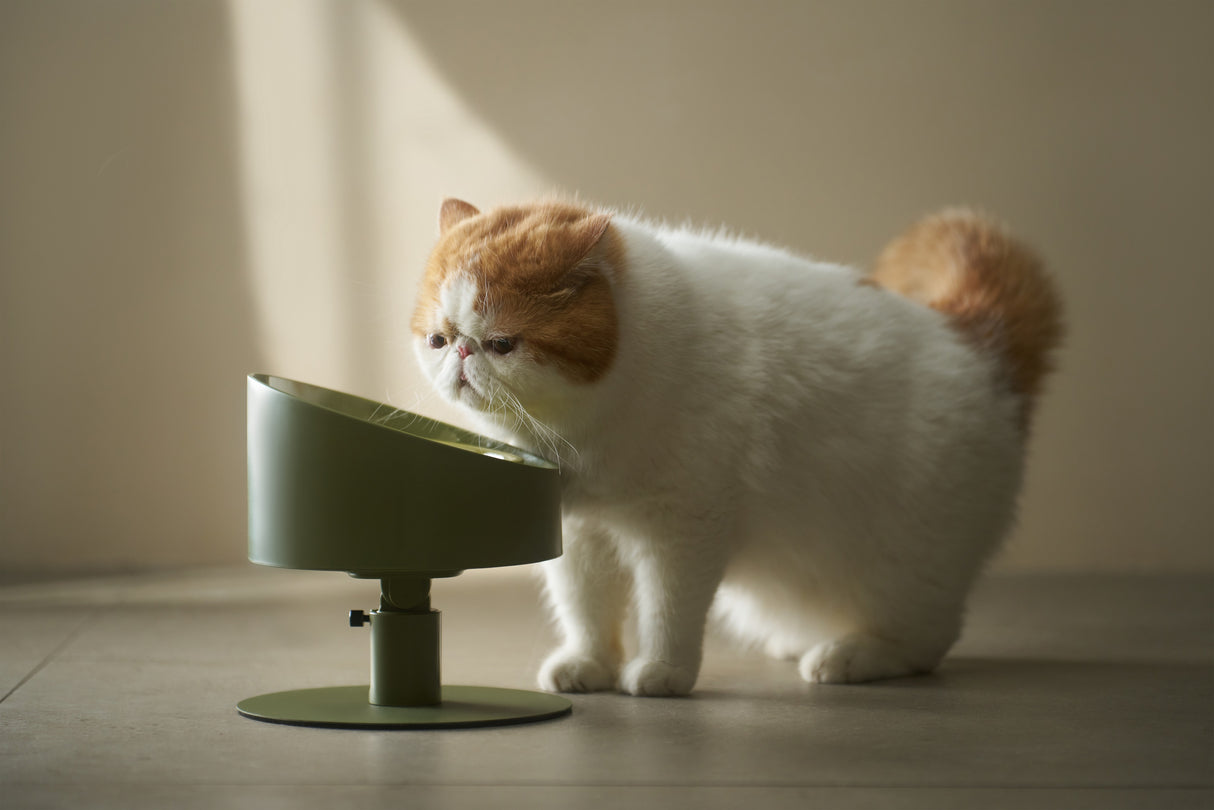 Makesure ergonomisch kattenschaaltje - SpirePets