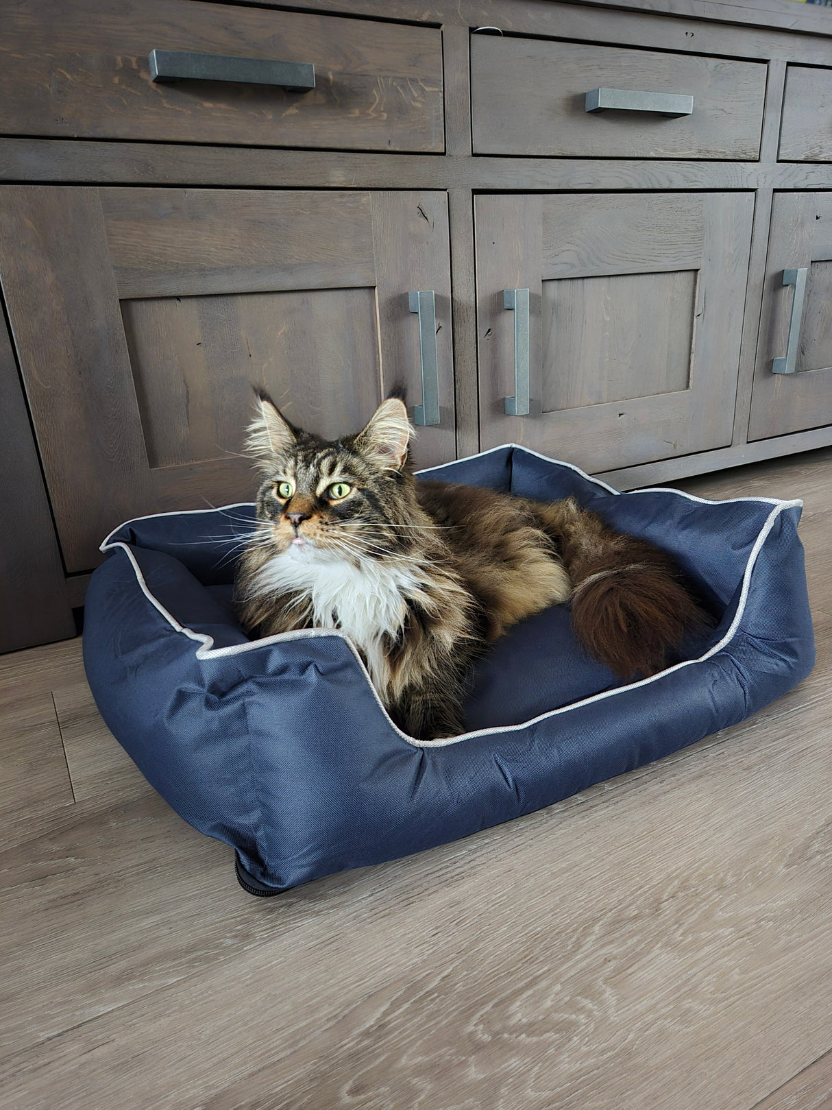 Huisdierenmand Bastiaan voor katten of honden maat S - SpirePets