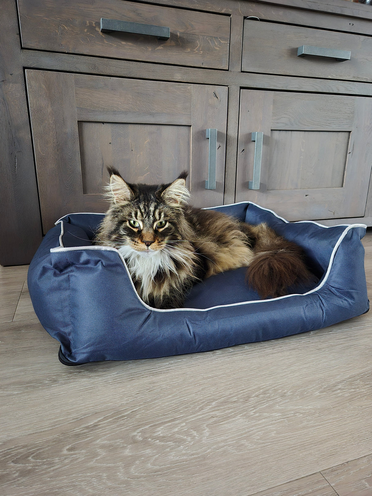 Bastiaan Haustierkorb für Katzen oder Hunde, Größe S