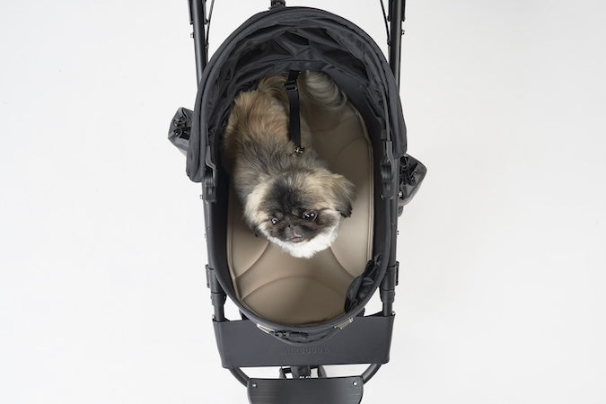 AirBuggy DOME 3 MAT LARGE – CHOCO BROWN - SpirePets