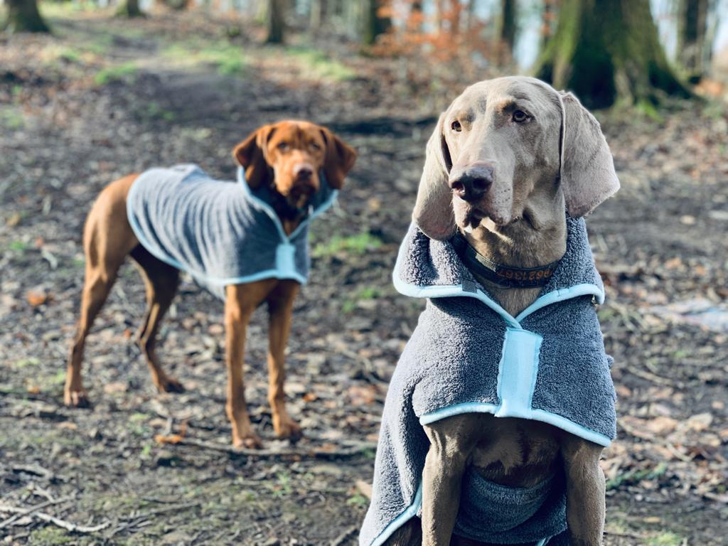 Henry Wag Mikrofaser-Hundebademantel – Trockenjacke für Hunde – Größe XL