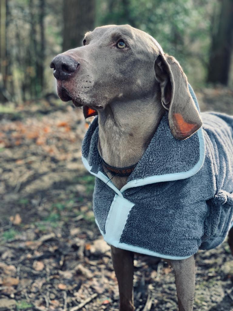 Henry Wag Mikrofaser-Hundebademantel – Trockenjacke für Hunde – Größe XL