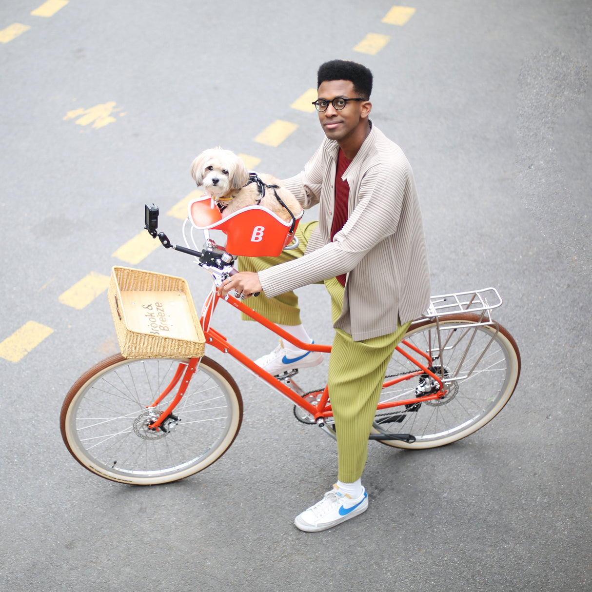 Brook & Breeze Canine Copilot - fietsstoeltje voor hond of kat - SpirePets