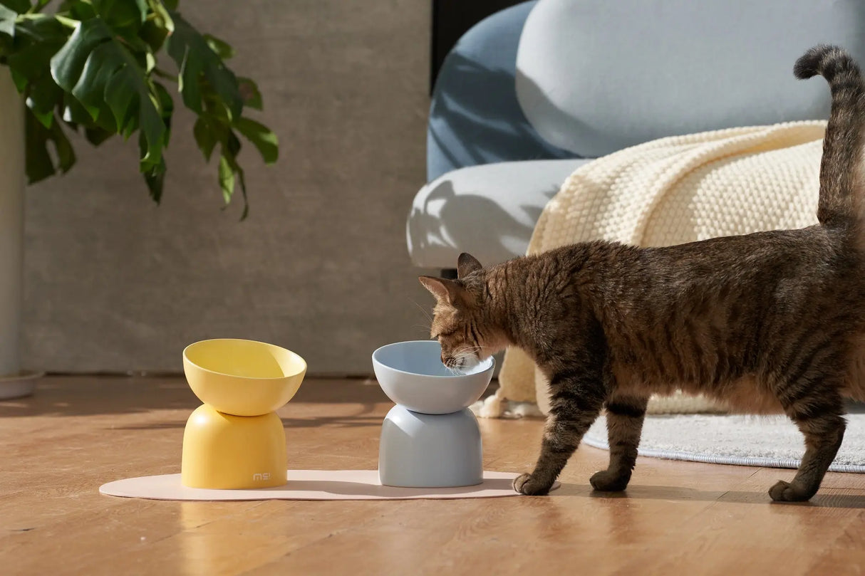 Kattenvoerbak - keramiek - verhoogde ontwerp - olijf groen - SpirePets