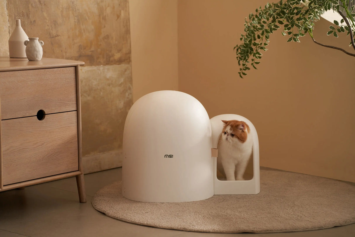 Kattenbak - universeel maat - inclusief kattenbakschepje - stijlvol en functioneel - lekvrij en geurvrij - SpirePets