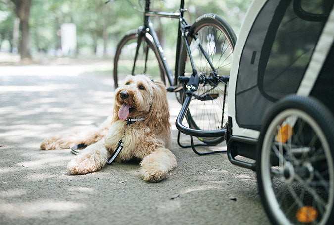 AirBuggy Cube Nest – Buggy für Ihren Hund oder Ihre Katze