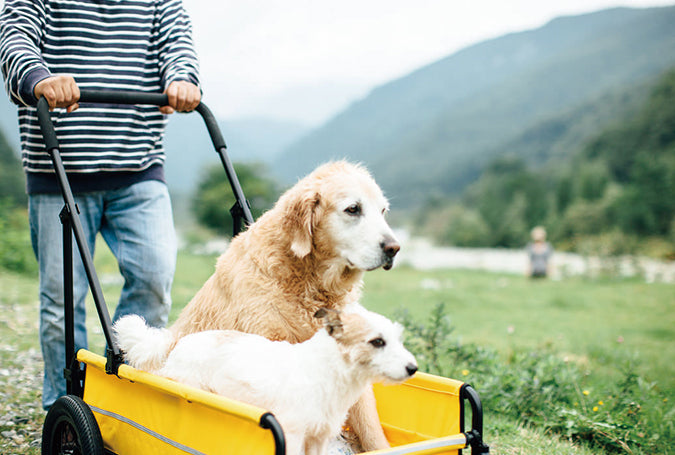 AirBuggy Carriage Set Seed Beige - Luxe Hondenbuggy tot 55kg - SpirePets