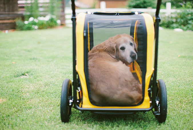 AirBuggy Carriage Set Seed Beige - Luxe Hondenbuggy tot 55kg - SpirePets