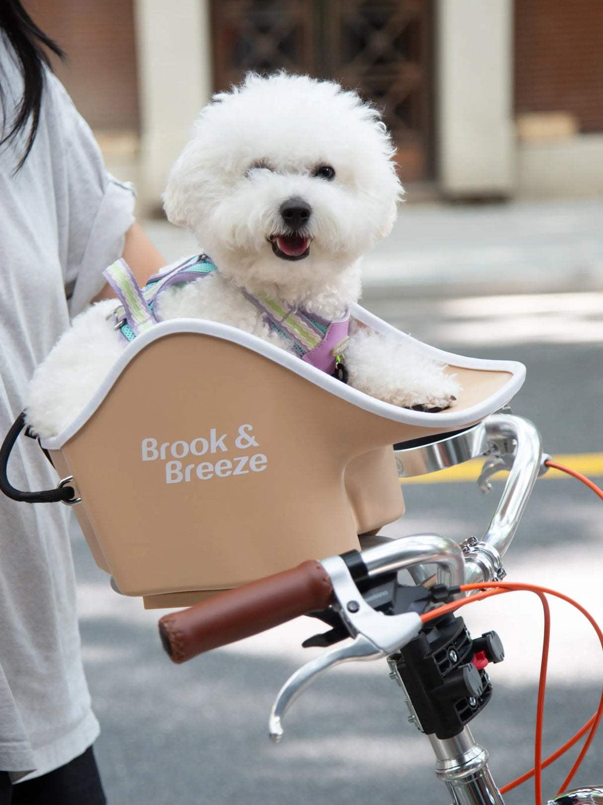 Brook & Breeze Canine Copilot - Crème Beige - SpirePets