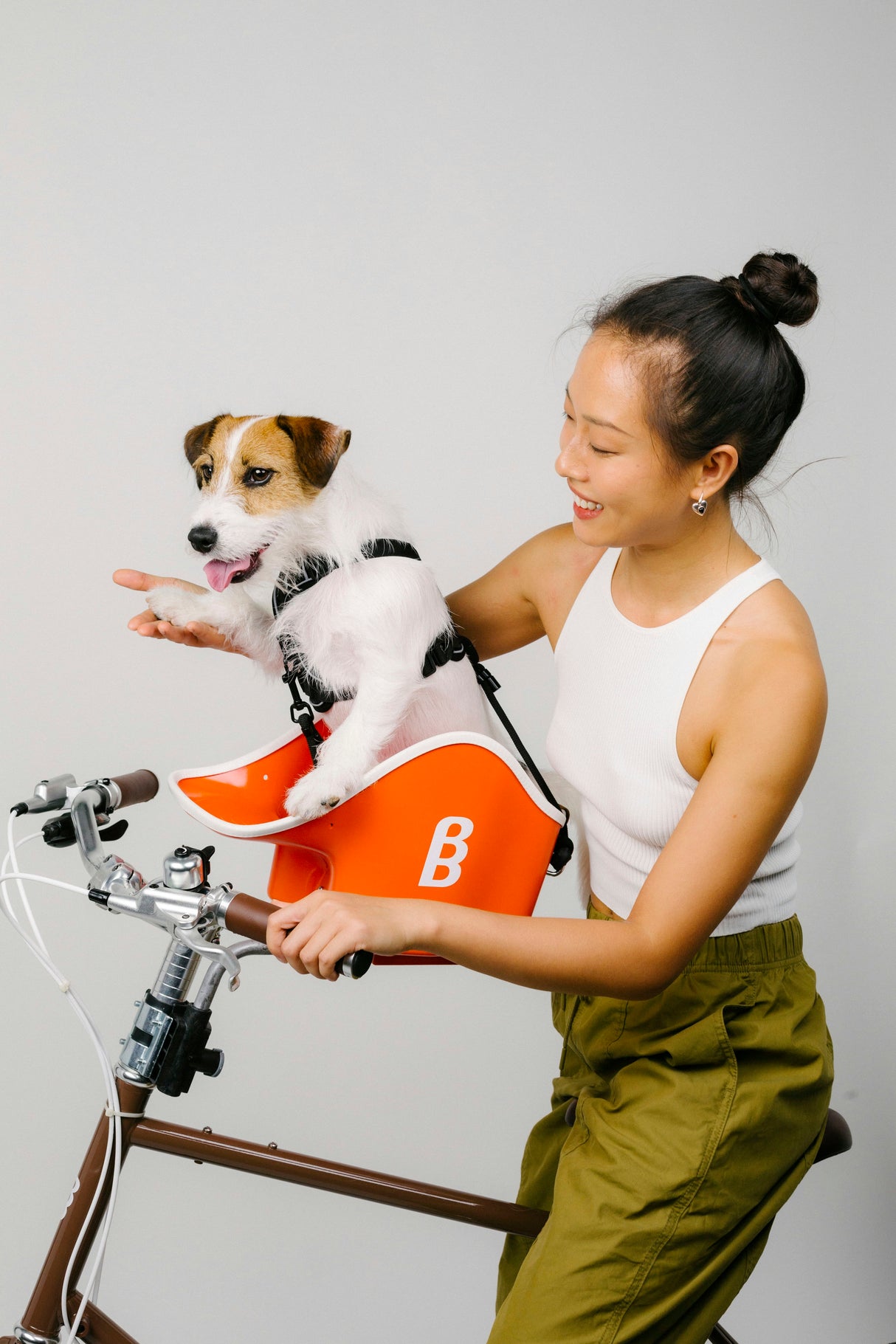 Brook & Breeze Canine Copilot - fietsstoeltje voor hond of kat - SpirePets