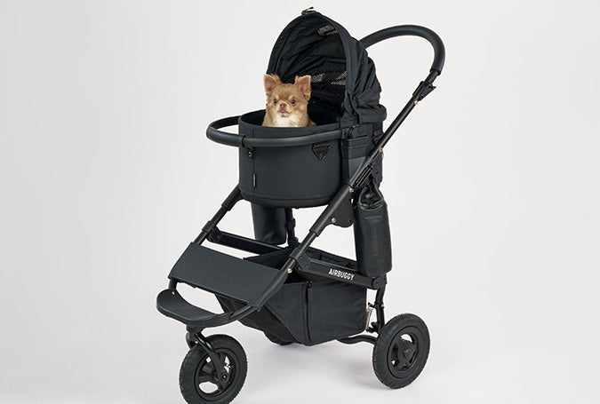 AirBuggy DOME 3 SMALL COT - EARTH BLACK - SpirePets