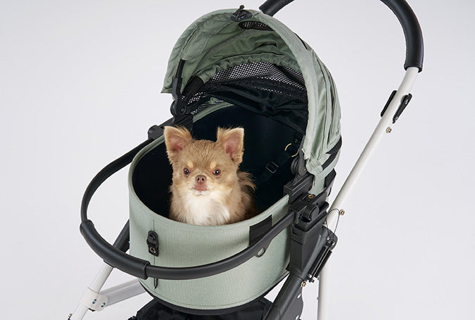 AirBuggy DOME 3 SMALL COT - GRASS GREEN - SpirePets