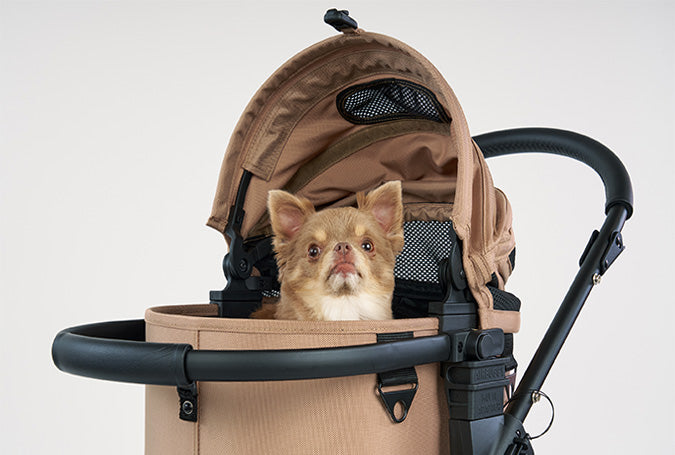 AirBuggy DOME 3 KLEINES KINDERBETT - SEED BEIGE