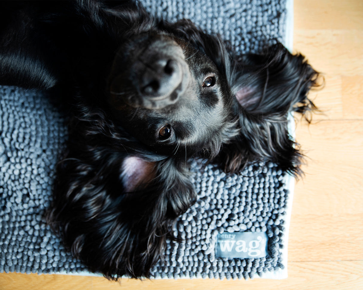 Henry Wag Mikrofaser-Trockenmatte für Haustiere – L
