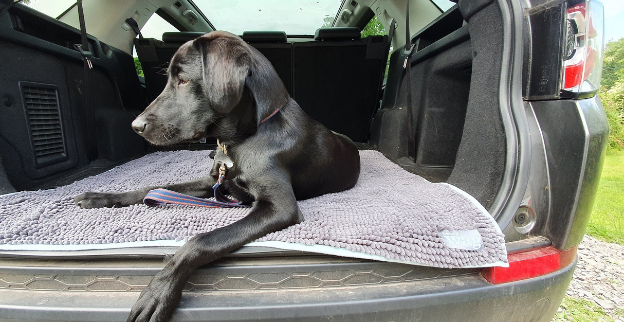 Henry Wag Mikrofaser-Trockenmatte für Haustiere – XL