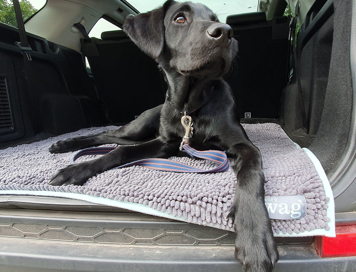 Henry Wag Mikrofaser-Trockenmatte für Haustiere – XL