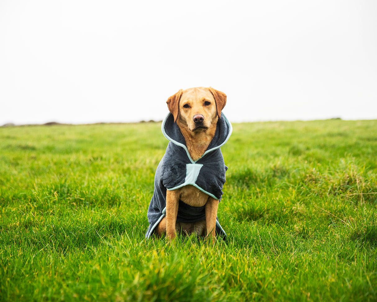 Henry Wag Mikrofaser-Hundebademantel – Trockenjacke für Hunde – Größe L