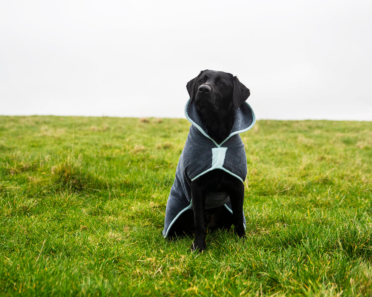 Henry Wag Mikrofaser-Hundebademantel – Trockenjacke für Hunde – Größe L