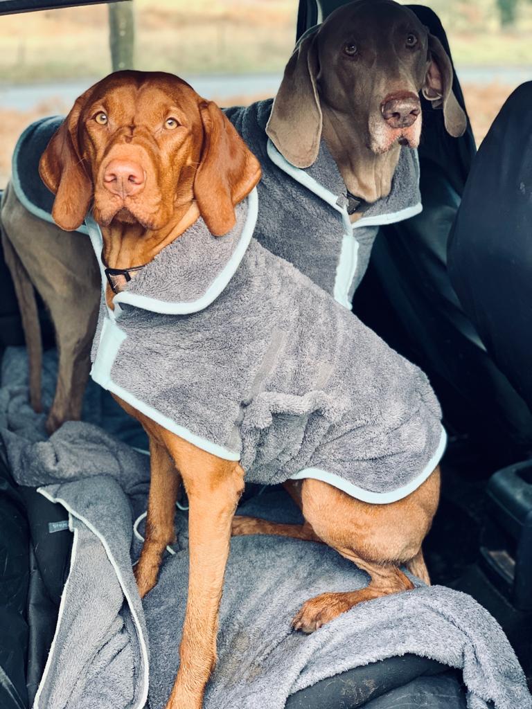 Henry Wag Mikrofaser-Hundebademantel – Trockenjacke für Hunde – Größe XXL