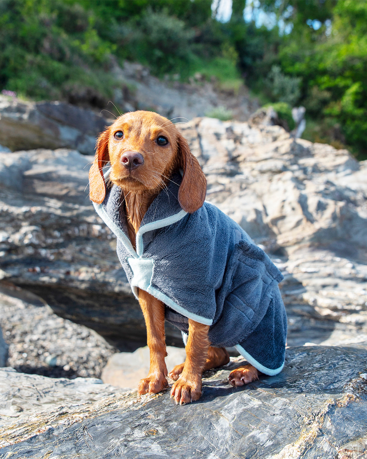 Henry Wag Mikrofaser-Hundebademantel – Trockenjacke für Hunde – Größe S