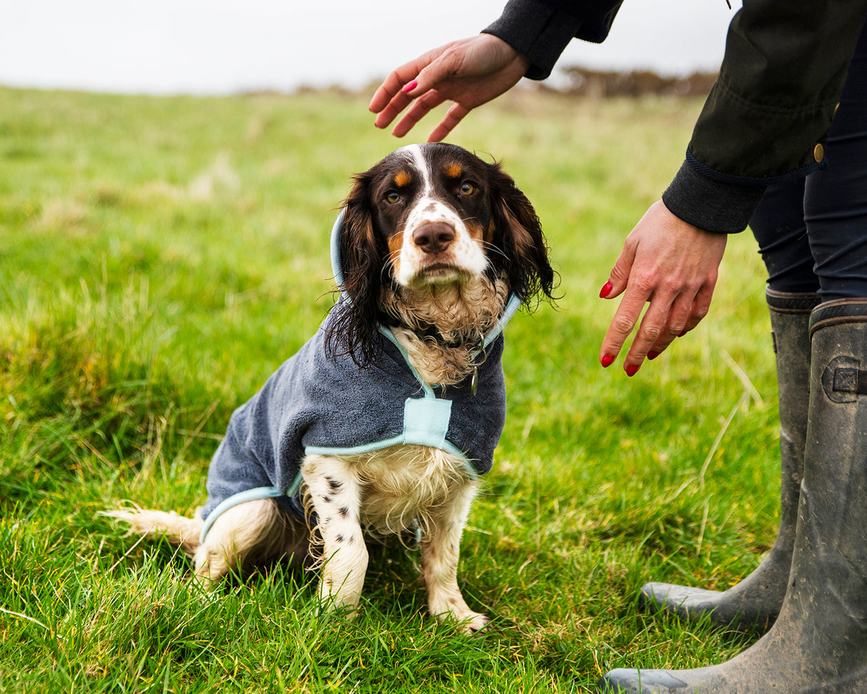 Henry Wag Mikrofaser-Hundebademantel – Trockenjacke für Hunde – Größe S