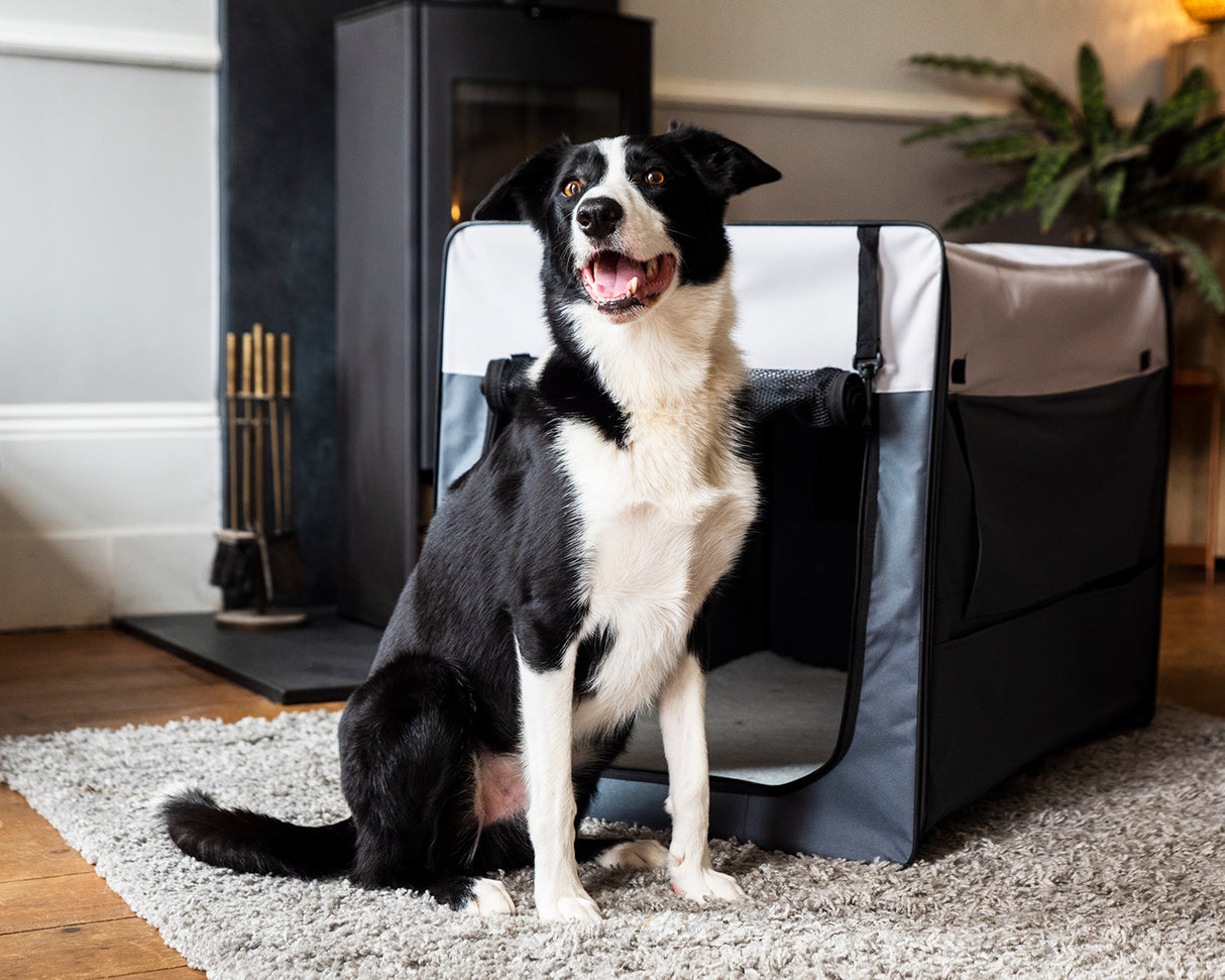 Henry Wag Opvouwbare Bench Hond - Reisbench XL - SpirePets