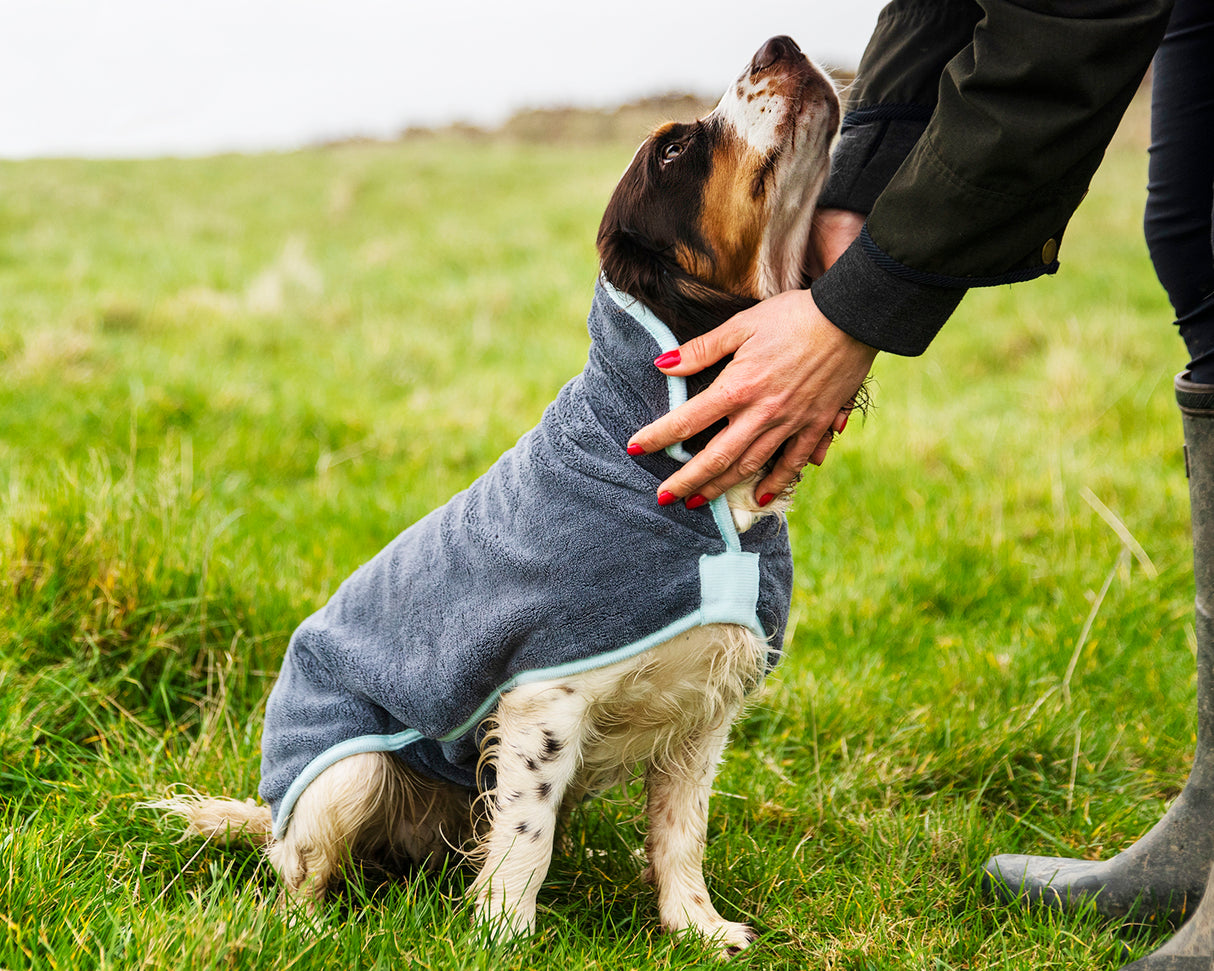 Henry Wag Hundebademantel – Trockenjacke für Hunde – Größe M