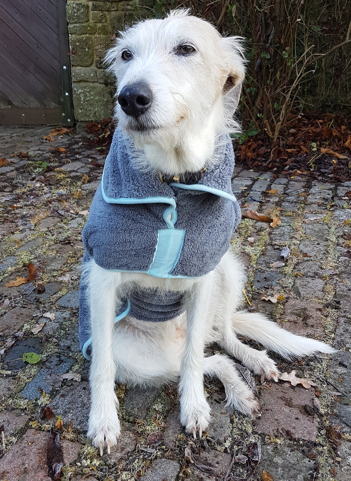 Henry Wag Mikrofaser-Hundebademantel – Trockenjacke für Hunde – Größe XXL
