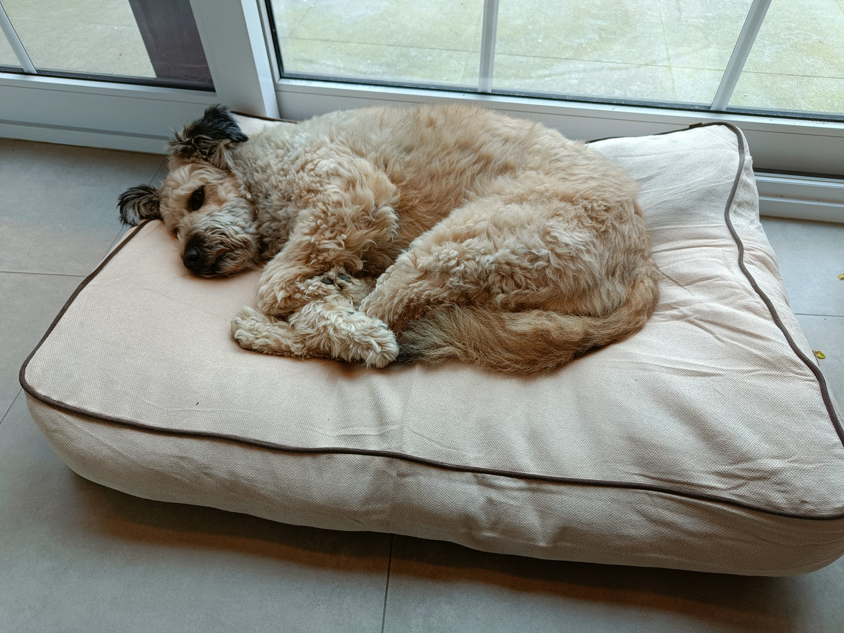 Rudy Hundekissen – Beige & Braun – Rutschfest