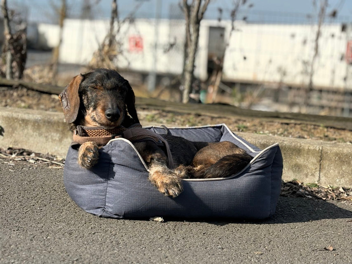 Bora Hundekorb - Haustierbett Größe S