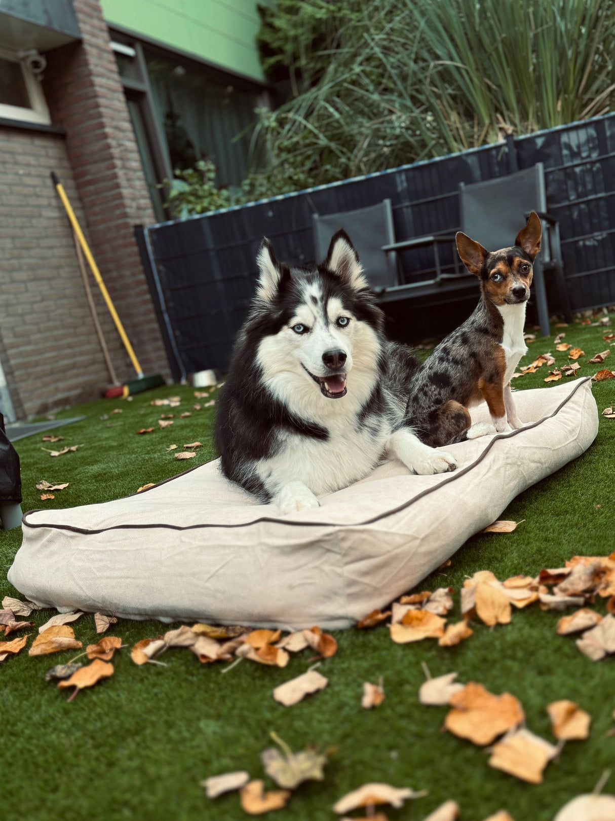 Rudy Hundekissen – Beige & Braun – Rutschfest