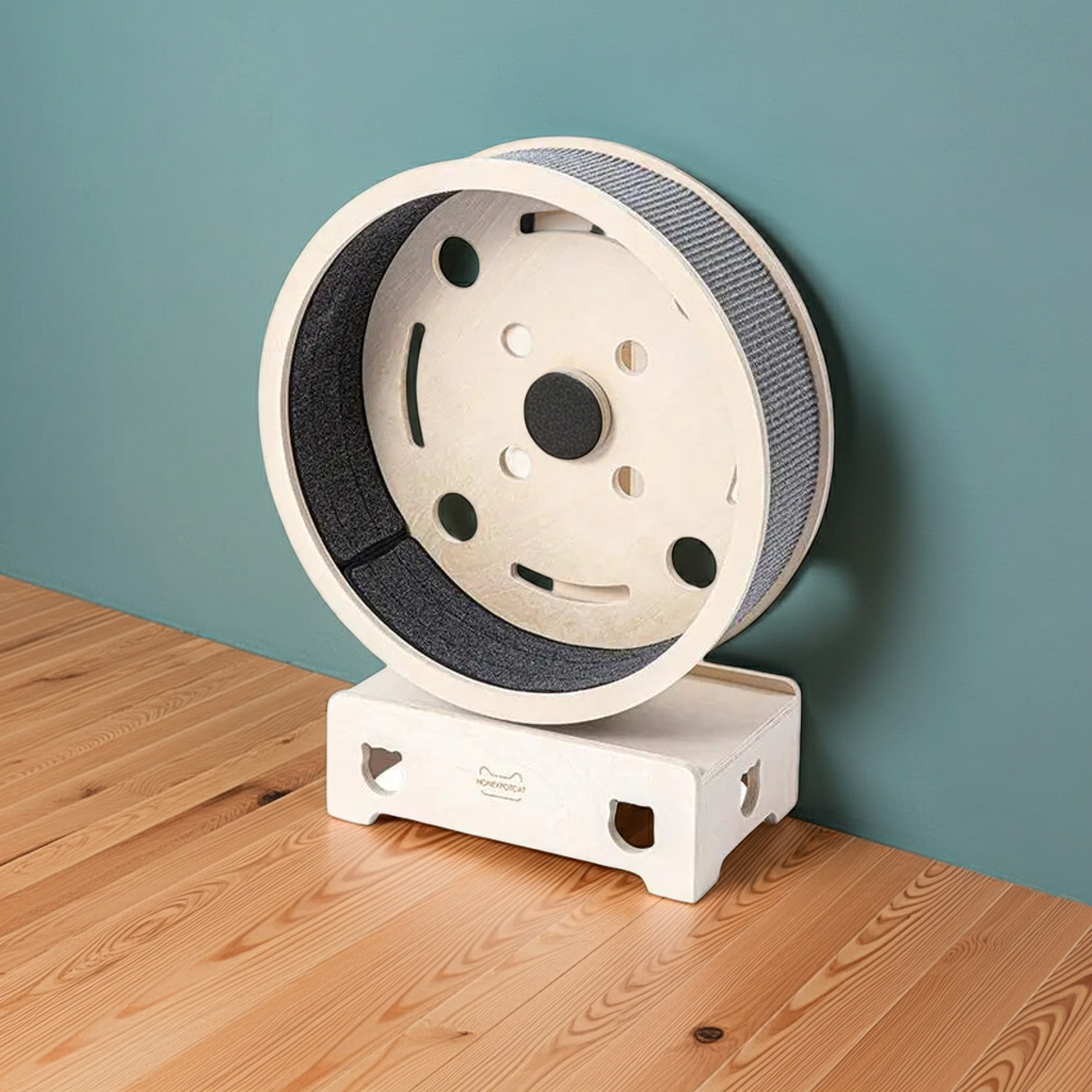 Laufrad für Katzen - Laufrad Mittel