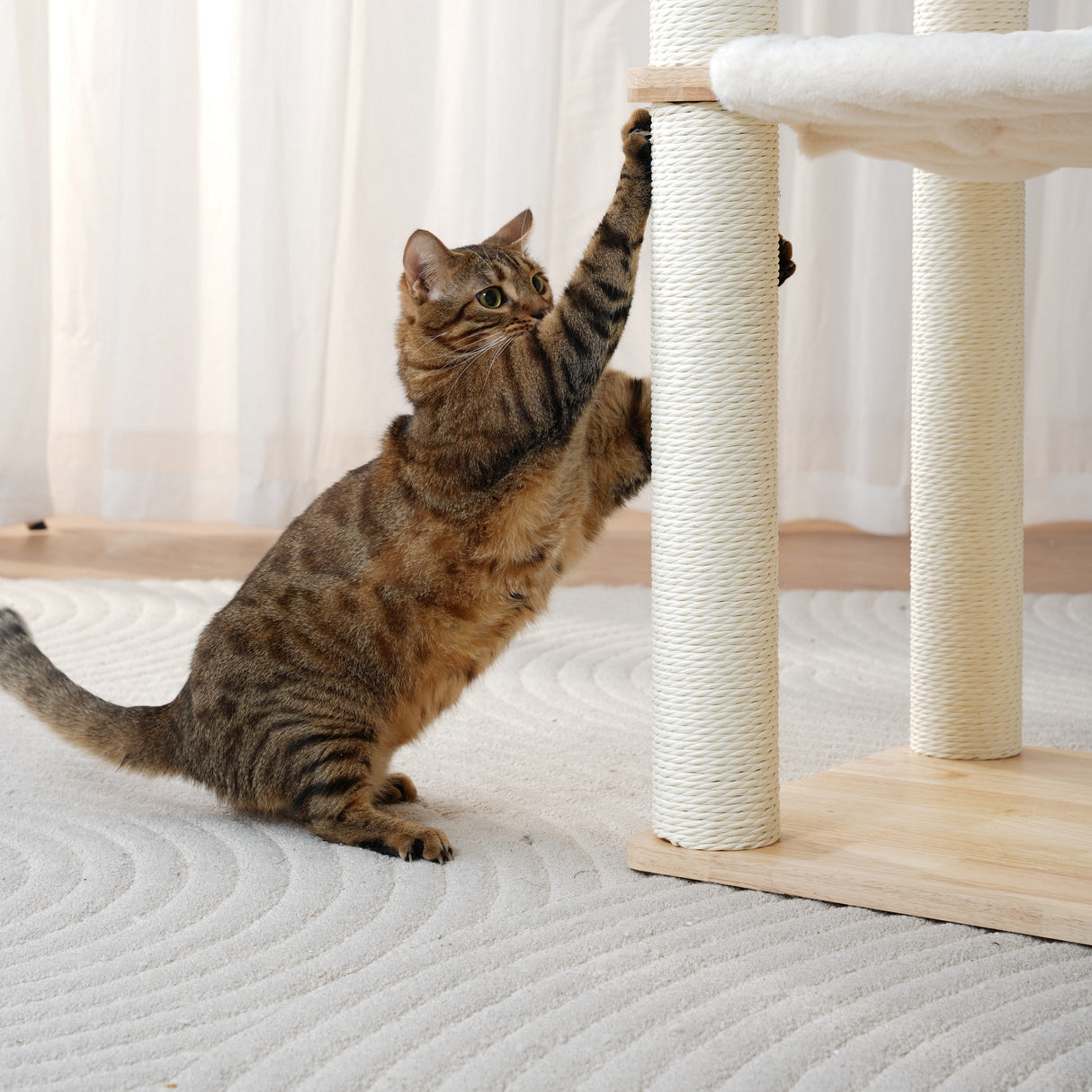 Kattenboom - krabpaal met hangmat en kattenmand - SpirePets
