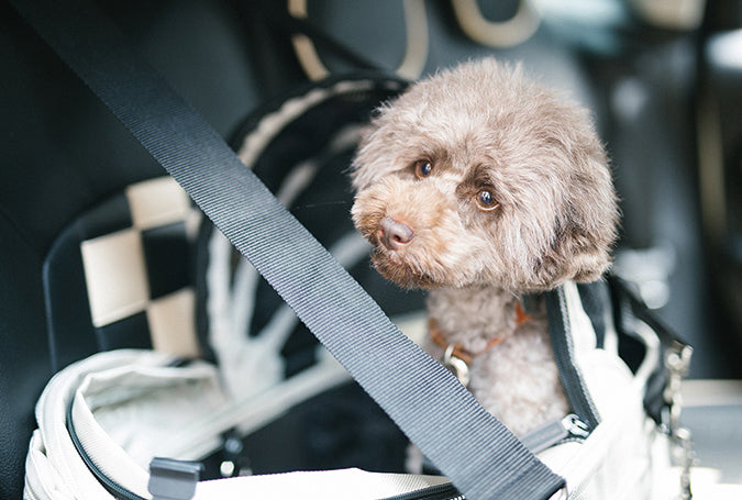 ISOFIX-Gurt für den DOME 3 von AirBuggy