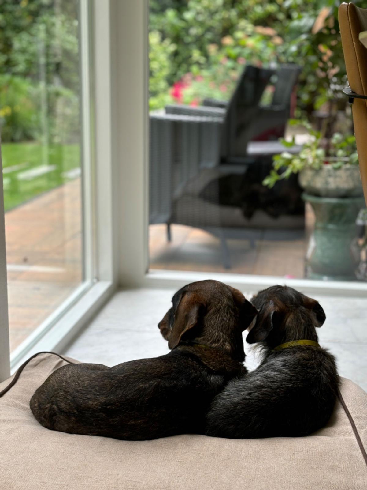 Rudy Hundekissen – Beige & Braun – Rutschfest