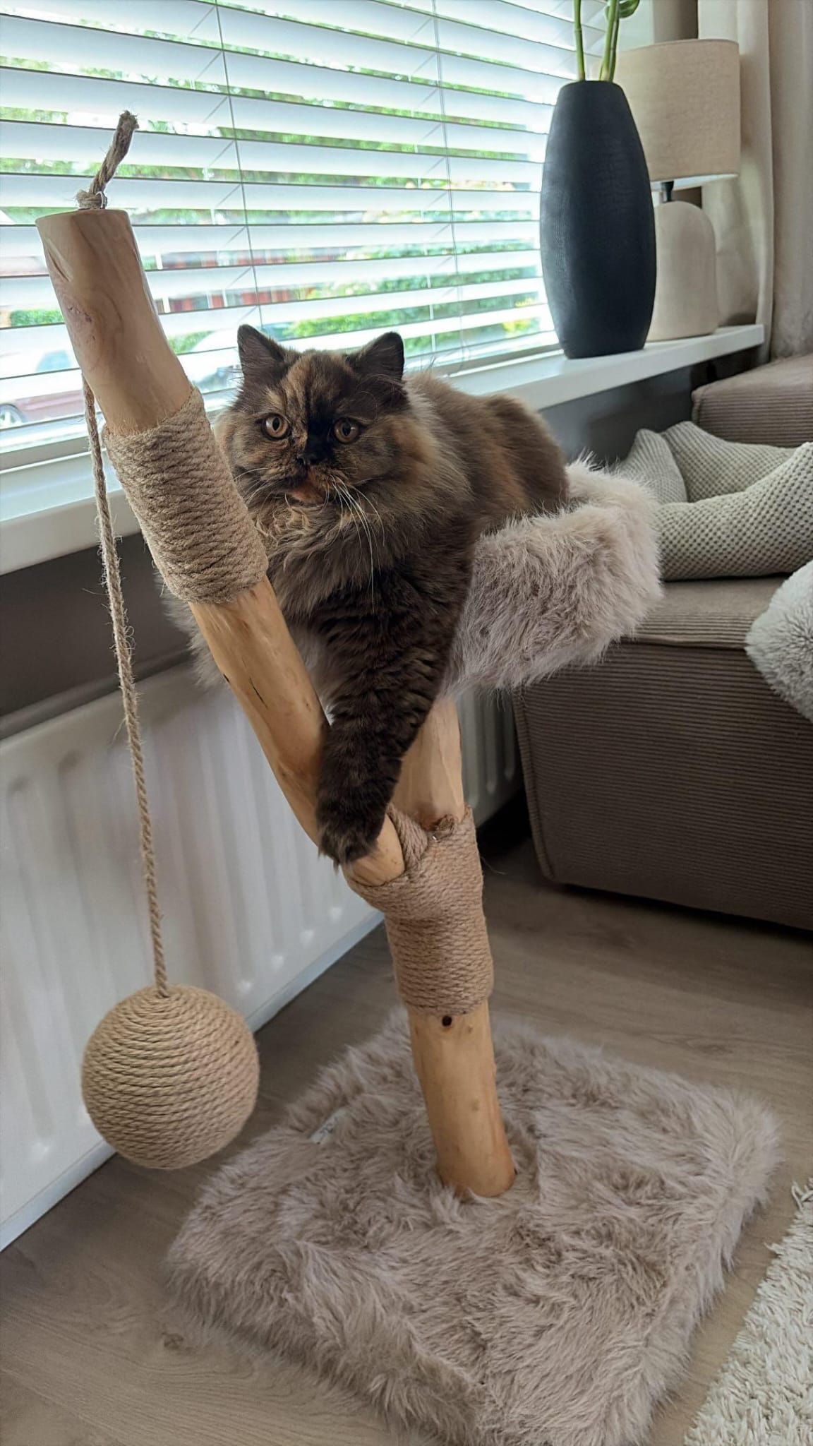 LUNA Kratzbaum Katze – Stabiler Kletterbaum für Katzen