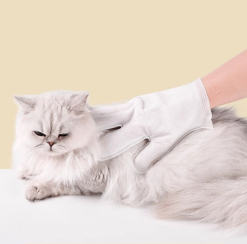 Pflegehandschuhe – Reinigung für Hunde und Katzen