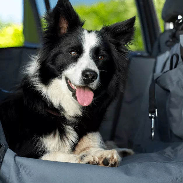 Henry Wag huisdier auto hangmat - autodeken voor hond XL - SpirePets