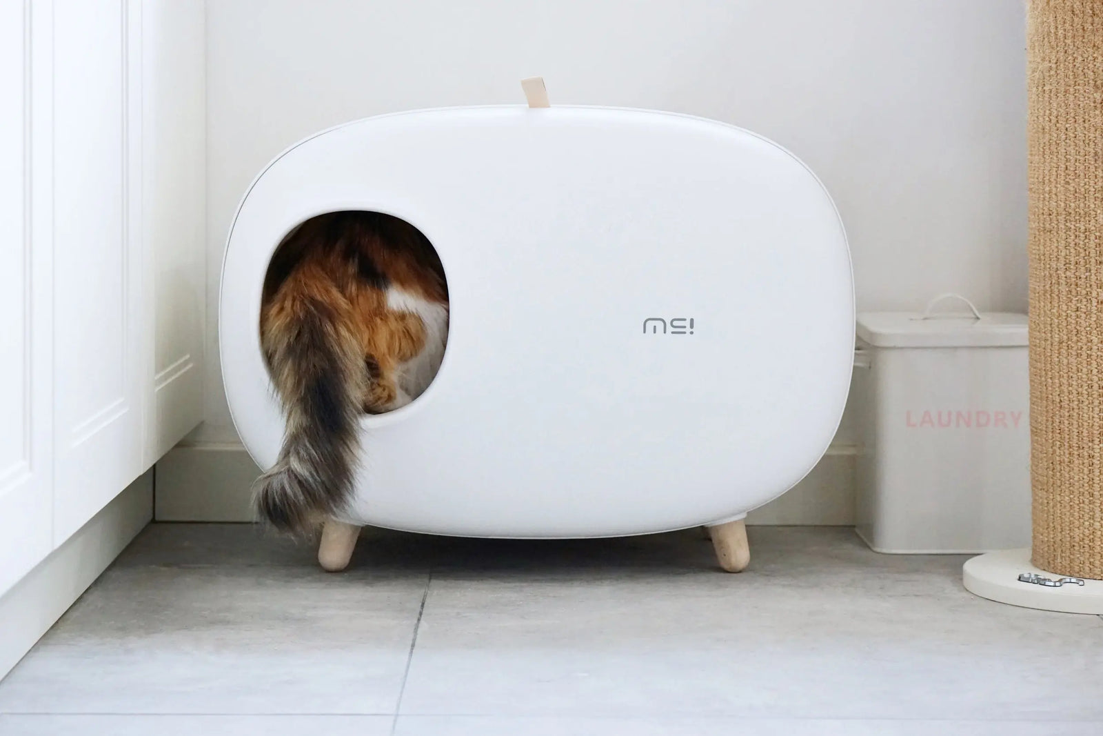 De kattenbak stinkt? 7 Effectieve tips voor een geurvrij huis SpirePets