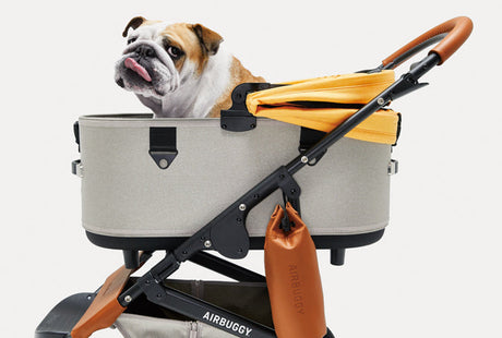 Fris de lente in met de AIRBUGGY in nieuwe kleuren