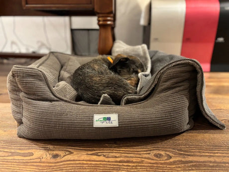 Maak je huisdier klaar voor de herfst & winter SpirePets