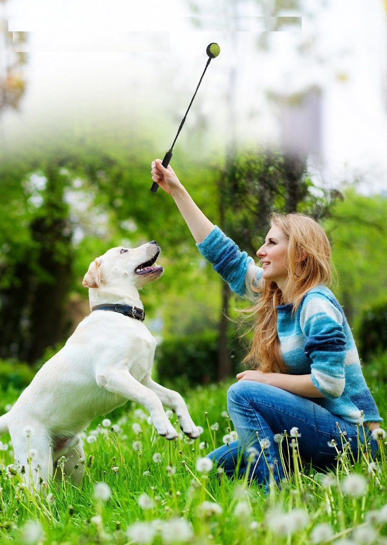 Wurfstock für Hunde - Ballwerfer - Hundespielzeug