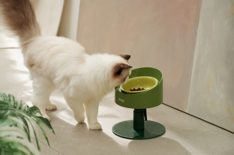Makesure ergonomisch kattenschaaltje - SpirePets