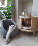 Momo Katzenbett - Katzenkorb