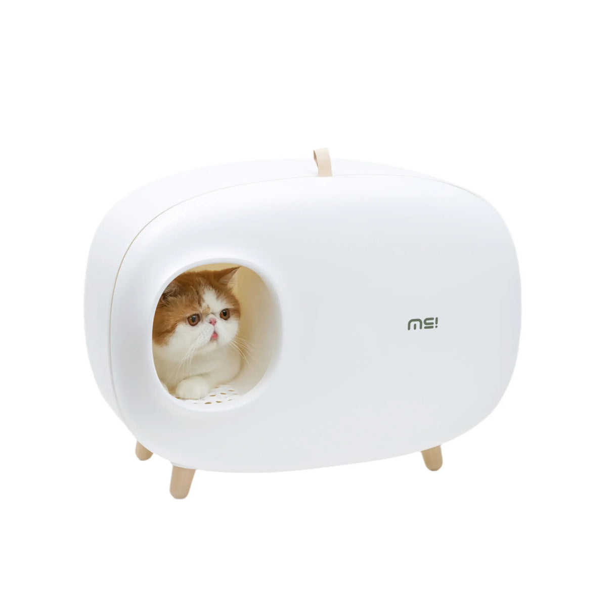 Kattenbak - inclusief schepje - lekvrij en geurvrij - SpirePets