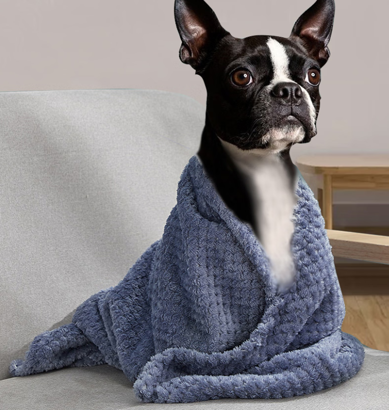 AirBuggy DOME 3 Premier Set Regular – Lachsbeere