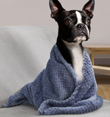 AirBuggy DOME 3 Premier Set Regular – Lachsbeere