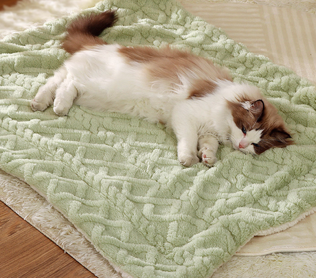 AirBuggy DOME 3 Premier Set Regular – Lachsbeere