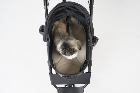 AirBuggy DOME 3 MAT LARGE – CHOCO BROWN - SpirePets